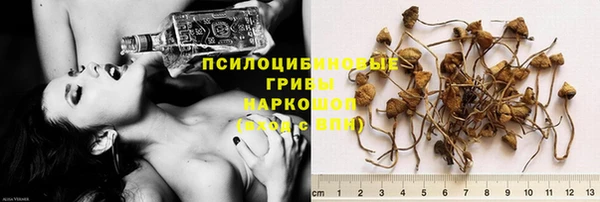 прущая мука Елизово