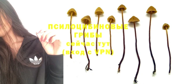 прущая мука Елизово